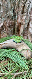 Tiny Turtle Planter